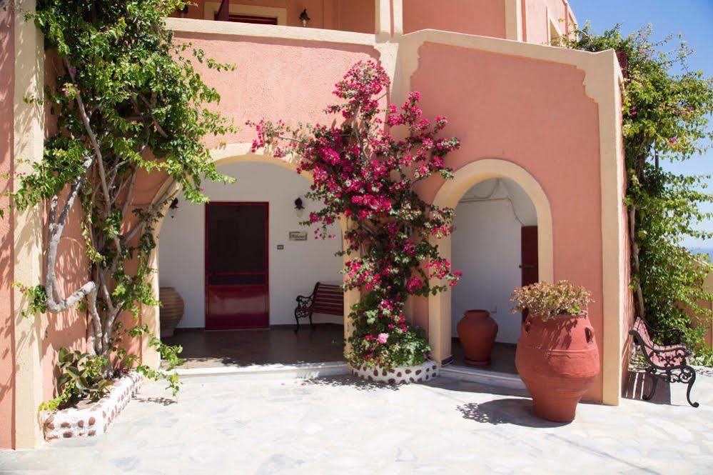Pension The Flower Foinikiá Extérieur photo